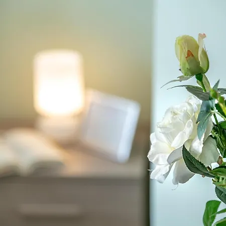 Panorama Wi-fi Parking Free Apartment *