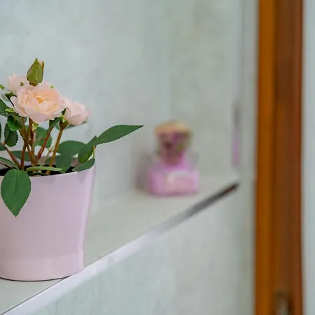 Panorama Wi-fi Parking Free * Acquaseria