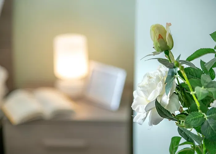 Panorama Wi-fi Parking Free Apartment *