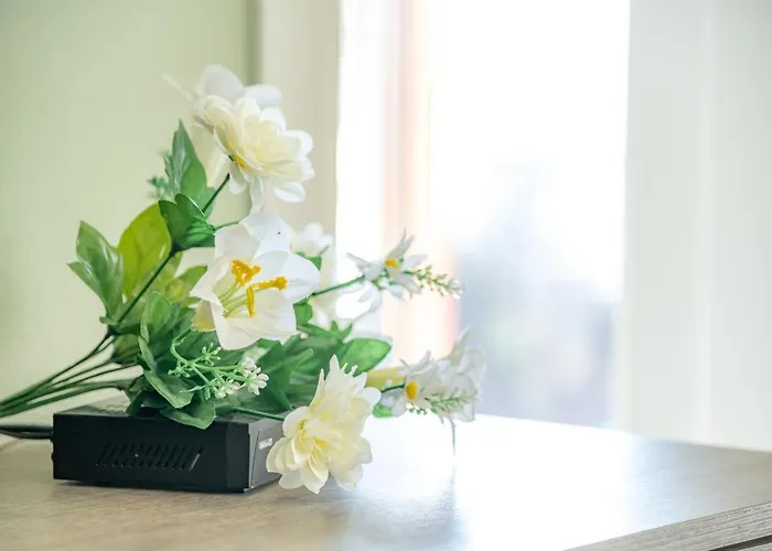 Apartment Panorama Wi-fi Parking Free