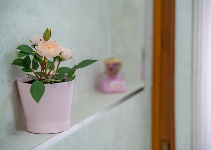 Panorama Wi-fi Parking Free * Acquaseria